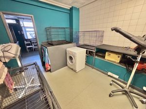 Studio- click for photo gallery